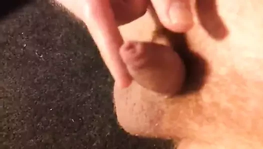 Sahibi tarafından oynanan küçük kesilmemiş willy
