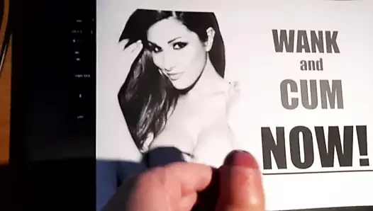 Sega veloce e omaggio di sperma per Lucy Pinder