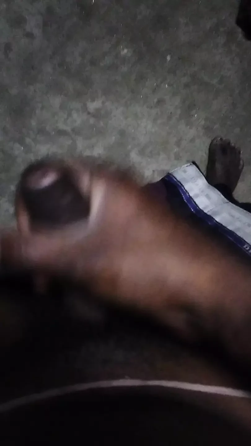 Desi lund kala lund