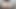 better than your girlfriend asshole worship breeding JOI - full video on LayneLovee Manyvids