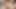 Amateur Redhead Gives Sloppy Blowjob While Playing with Lush Vibrator - Cum in Mouth Then Spits It on His Cock