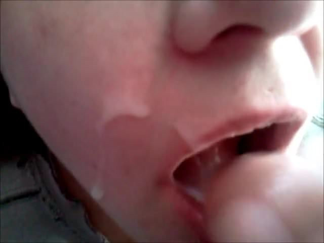 swallow 2