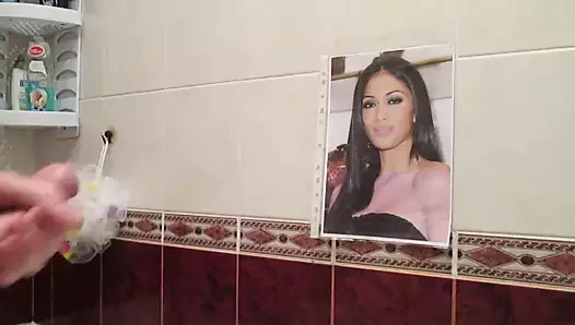 Döl haraç nicole scherzinger 2
