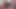 Double Blowjob Sluts Cheerleader Kait and Talulah Mae