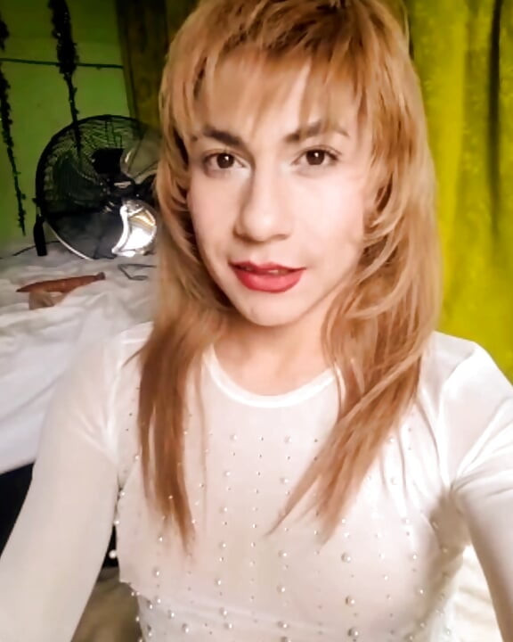 Live Show November 11