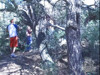 Pratinjau video