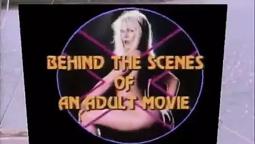 Detrás de escena de una película para adultos (1984, nosotros, completo, dvdrip)