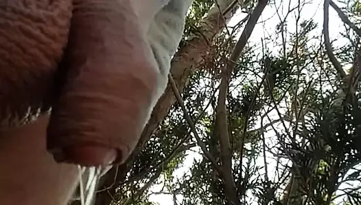 Pissen im Garten