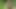 Daddy Getting Fucked in the Forest