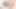 Uma musume, Haru urara eating Carrot with ass, Asian Femboy Cosplayer part.7