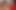Kolombiyalı büyük götlü Daniela Andrea Brian Evansx ile mutlu sonlu bir röportaj yapıyor