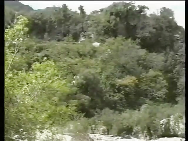 Добірка з усім, що є.