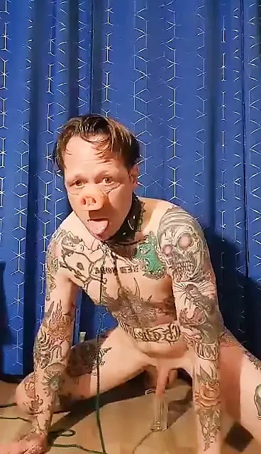 Kaybeden