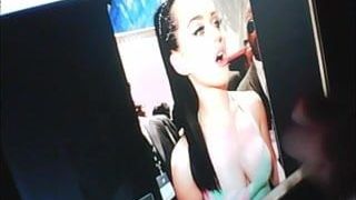 Katy Perry Tribute (huge load)