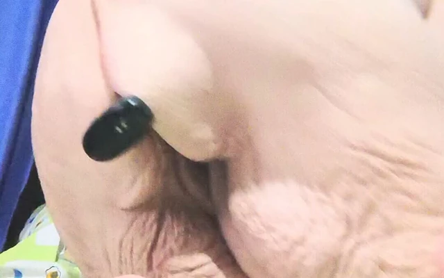 Loose as a Goose Fucking Her Dirty Bum