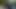 Olgun4k. altmışın üzerinde güzel erkek delisi gaf ile ilgileniyor, bu yüzden seks yapıyor