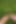 I Let You See My Feet Rubbing and Pressing Against the Grass