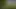 Having Fun in a Field