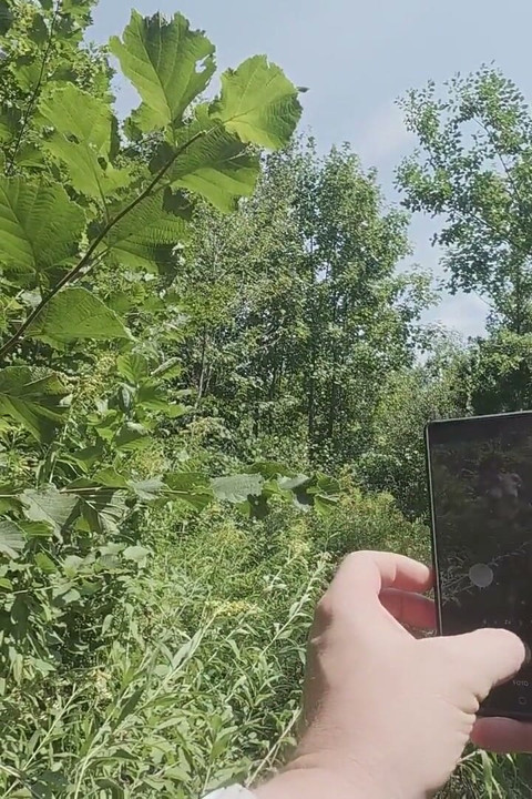 Caught in the Woods!! He Was Only Supposed to Take Pictures... Then It Escalated
