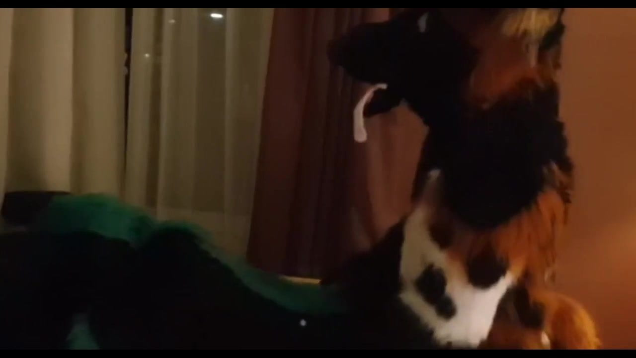 Two Gay Furries Fucking 5