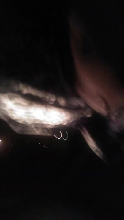 She loves white dick in her mouth