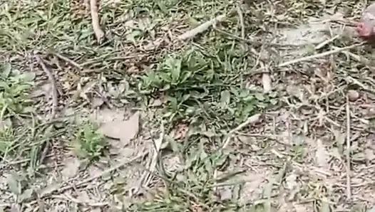 Jangal Me Chut Ka Maggal