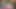 İri göğüslü orta yaşlı seksi kadın elana bunnz çıplak yoga ve parmaklama