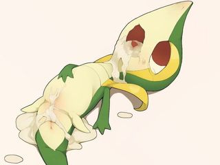 Pokémon sopro # 4 feminino snivy