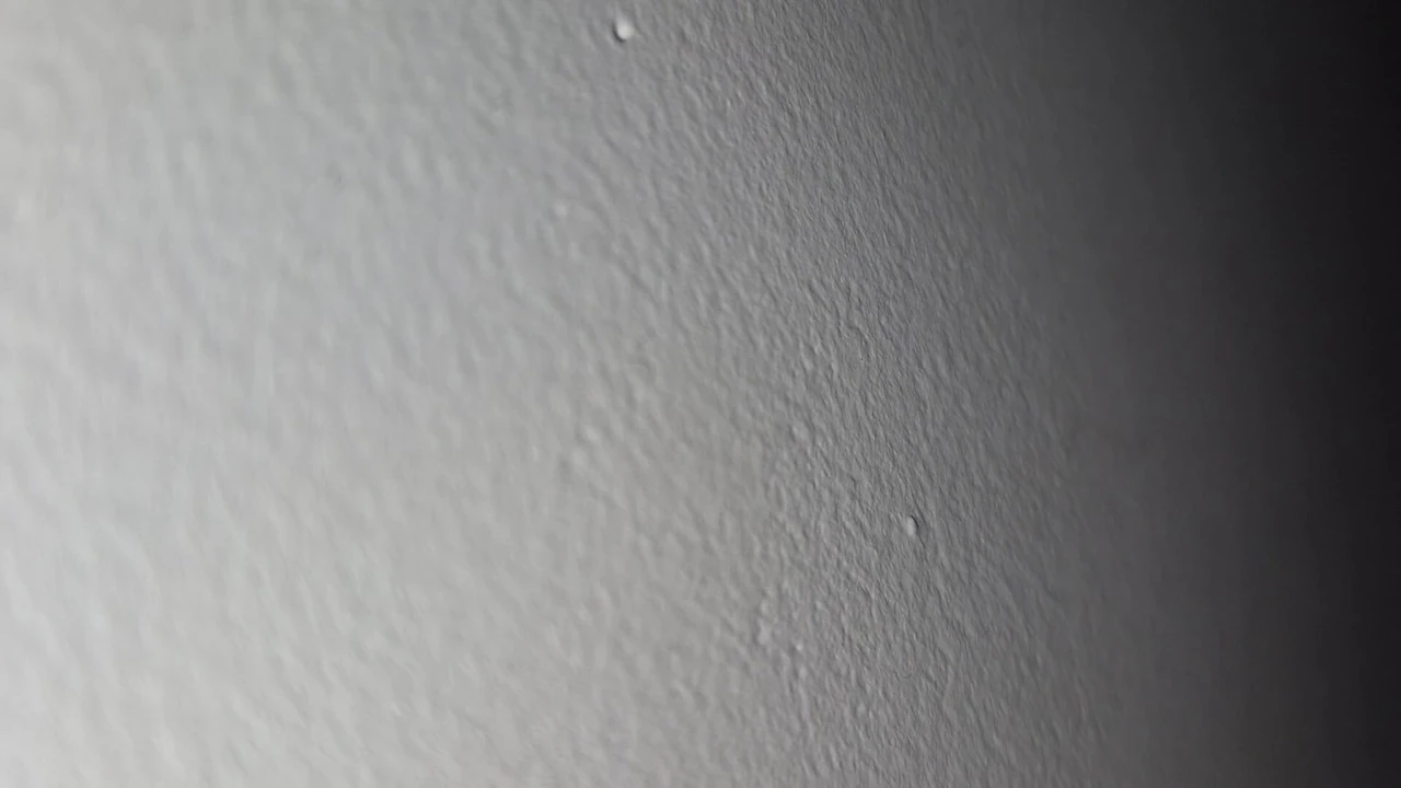 Gdtdggscg blank heryy gfrhg gfrt