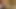 Daddy masturbates for a fan with cumshot