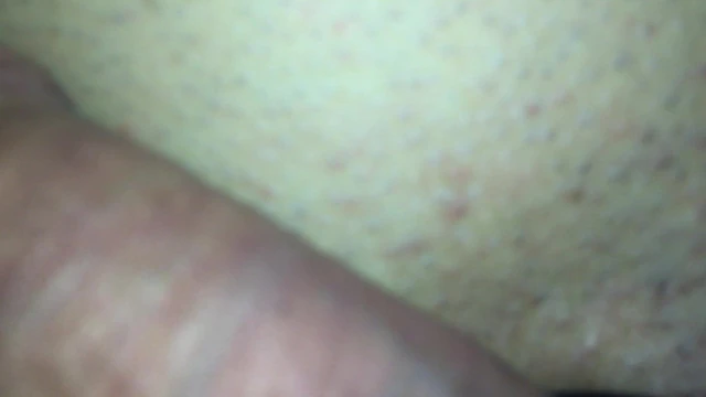 Holly