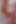 渇いたビッチたち、あなたの睾丸を吸い取る視点 |ローラ・ローズ・リトル・パック