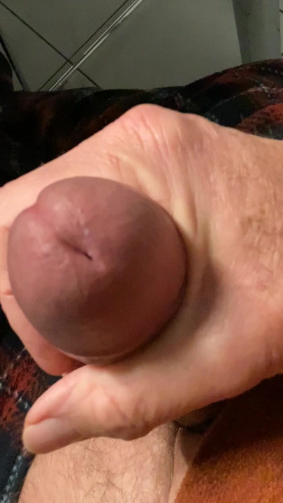 勃起したチンコが動く