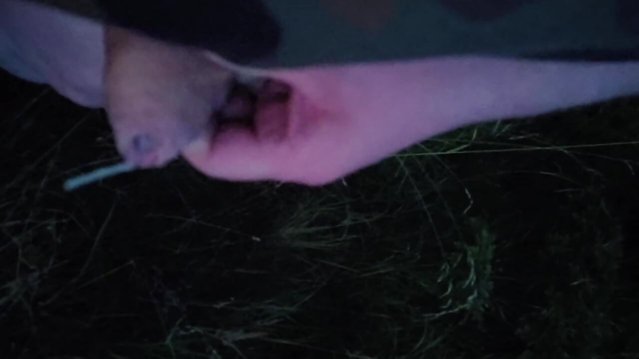 Nice Wank in the Park