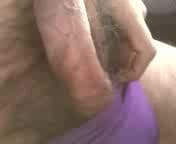 New Panty Bra