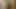 2 trans ile dörtlü sikişmeden önce fotoğraf çekimi