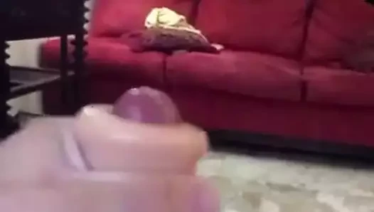 Sahte kedi ağır çekim