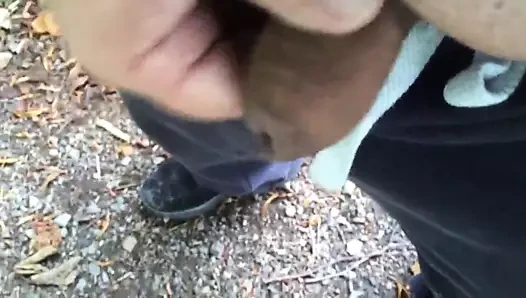 Parkta horoz dışarı