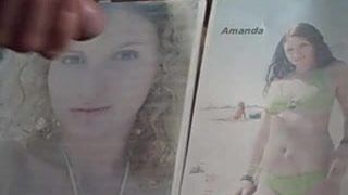 Meine Hommage an Amanda