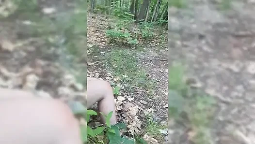 Çaresiz bir kamp derlemesi