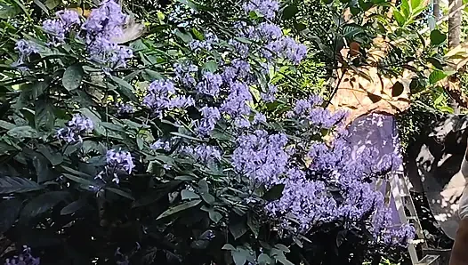 Beautiful Desi Girl Getting Nude Outside in the Garden