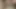Hot Dick Massage with Precum Loaded
