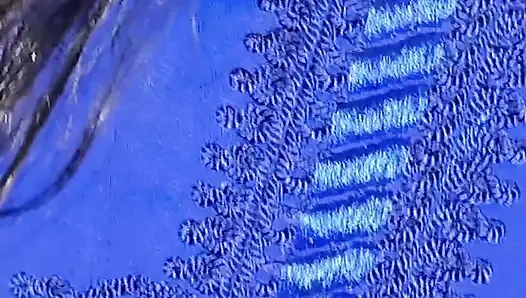 Seks pantat montok istri arab