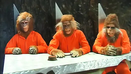 Prisoner of Your Velvety Ass