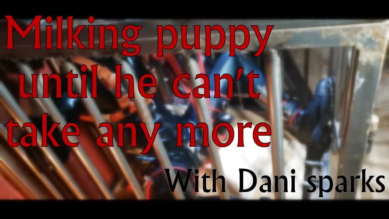 Caged Pup in for his Milking session