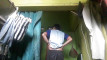 Pratonton Video