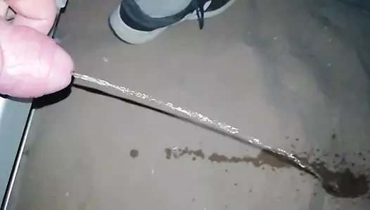 Başka bir plaj sidiği