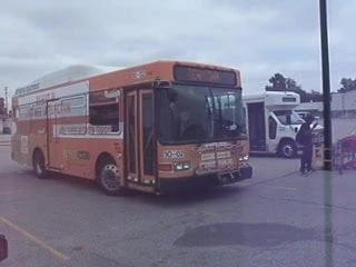 sexygirl2014 riding bruce bus