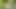 Publicly masturbating in the park until I squirt!