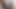 I SENT THIS VIDEO TO MY AUNT AND SHE WAS AMAZED AT THE SIZE
